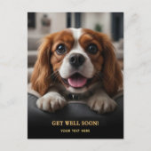 Carte Postale Adorable Cavalier King Charles Spaniel Get Well  (Devant)