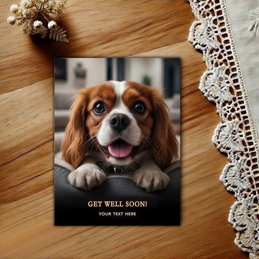 Carte Postale Adorable Cavalier King Charles Spaniel Get Well 