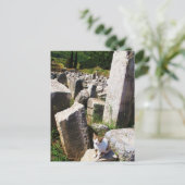 Carte Postale Adorable chat errant vivant dans les ruines d'Ephè (Debout devant)