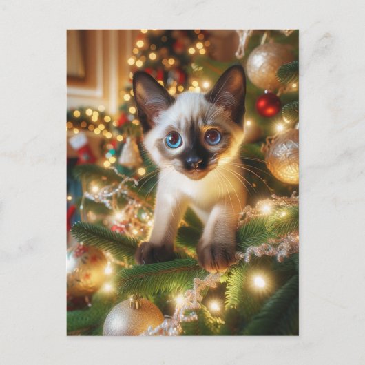 Carte Postale Adorable chaton siamois dans un arbre de Noël (Devant)