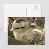 Carte Postale Adorable Chick Jouer dans le jardin (Devant / Derrière)