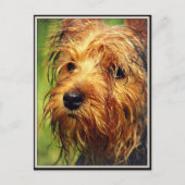 Carte Postale Adorable chien Terrier avec un visage humide (Devant)