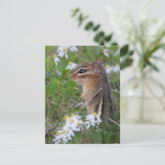 Carte Postale Adorable Chipmunk en fleurs (Debout devant)
