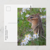 Carte Postale Adorable Chipmunk en fleurs (Devant / Derrière)