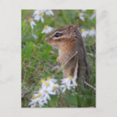 Carte Postale Adorable Chipmunk en fleurs (Devant)