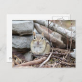 Carte Postale Adorable Chipmunk souriant (Devant / Derrière)