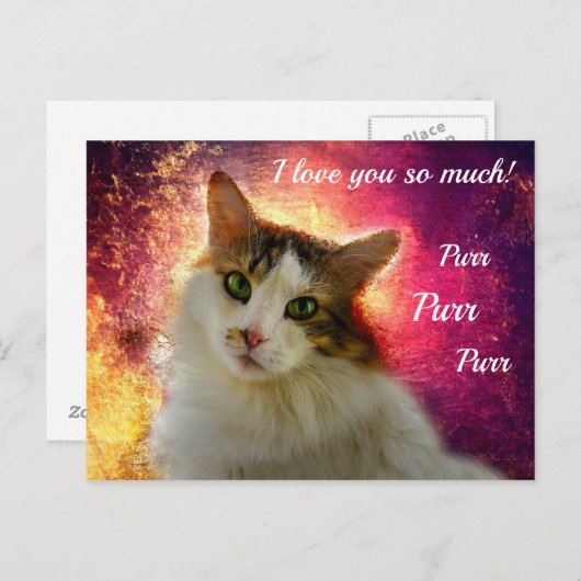 Carte Postale Adorable Cute Calico Chat (Devant / Derrière)