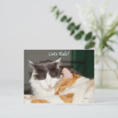 Carte postale adorable de la règle des chats (Debout devant)