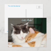 Carte postale adorable de la règle des chats (Devant / Derrière)