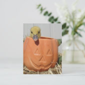 Carte Postale Adorable Duckling in a Pumpkin (Debout devant)