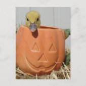 Carte Postale Adorable Duckling in a Pumpkin (Devant)