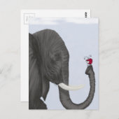 Carte Postale Adorable éléphant et mignonne coccinelle (Devant / Derrière)