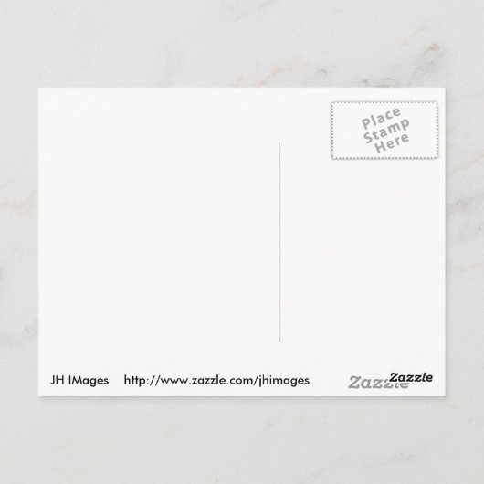 Carte Postale Adorable Filly (Dos)