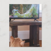 Carte Postale adorable ginger kitty watching TV (Devant)