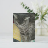 Carte Postale Adorable Gris Sleepy Tabby Kitty (Debout devant)