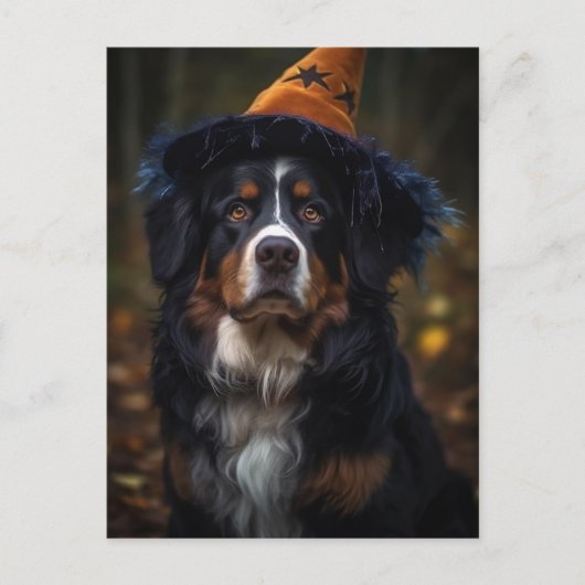 Carte Postale Adorable Halloween Bernese Mountain Dog (Devant)