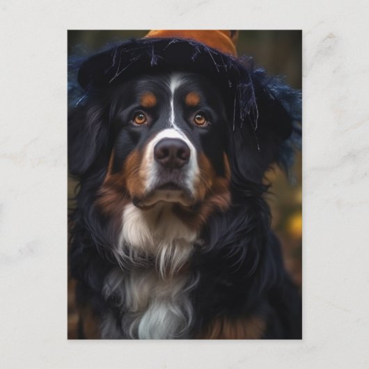 Carte Postale Adorable Halloween Bernese Mountain Dog (Devant)