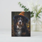 Carte Postale Adorable Halloween Bernese Mountain Dog (Debout devant)