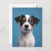 Carte Postale Adorable Jack Russell Terrier Portrait de chiot (Devant / Derrière)