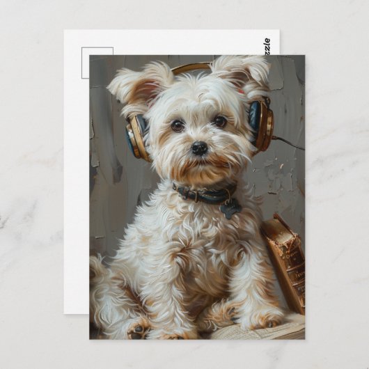 Carte Postale Adorable lecture et écoute de la musique maltaise (Devant / Derrière)