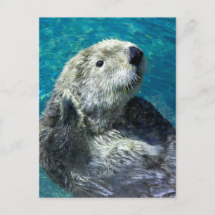 Carte Postale Adorable Otter de mer Mignonne Eau Bleue