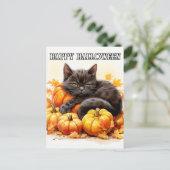 Carte Postale Adorable Petit Chat Kitty Noir Sleepy (Debout devant)