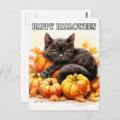 Carte Postale Adorable Petit Chat Kitty Noir Sleepy (Devant / Derrière)