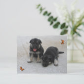 Carte postale adorable pour chiot (Debout devant)