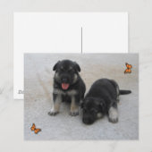 Carte postale adorable pour chiot (Devant / Derrière)