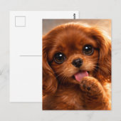 Carte Postale Adorable Ruby Cavalier Spaniel (Devant / Derrière)