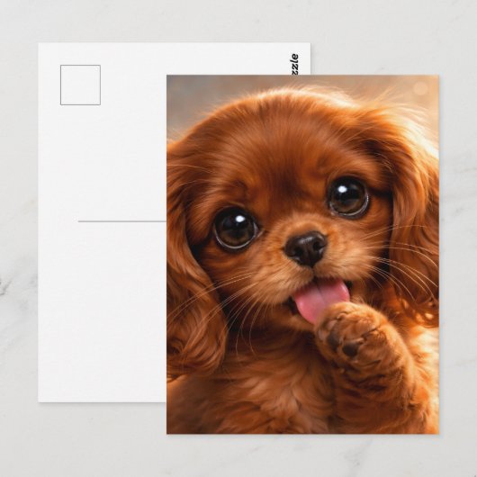 Carte Postale Adorable Ruby Cavalier Spaniel (Devant / Derrière)