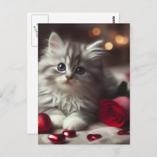 Carte Postale Adorable Saint-Valentin Fluffy Grey Kitten (Devant / Derrière)