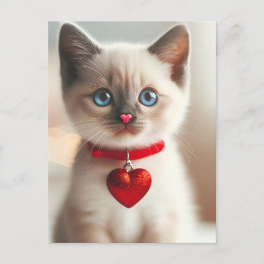 Carte Postale Adorable Saint Valentin Kitten avec coeur sur coll (Devant)