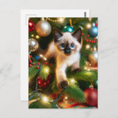 Carte Postale Adorable Siamese Kitten Noël (Devant / Derrière)