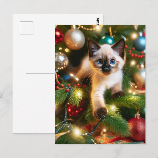 Carte Postale Adorable Siamese Kitten Noël (Devant / Derrière)