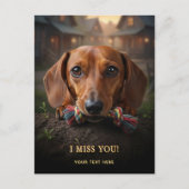 Carte postale Adorable Teckel Tu me manques (Devant)
