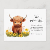 Carte Postale Adorable Vache de Highland Moving Faire-part (Devant)