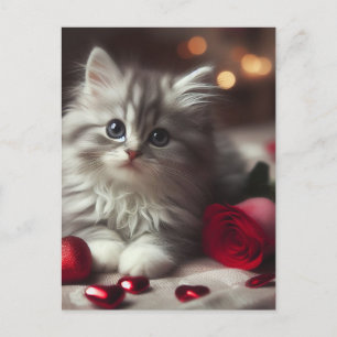 Carte Postale Adorable Valentine Fluffy Grey Kitten