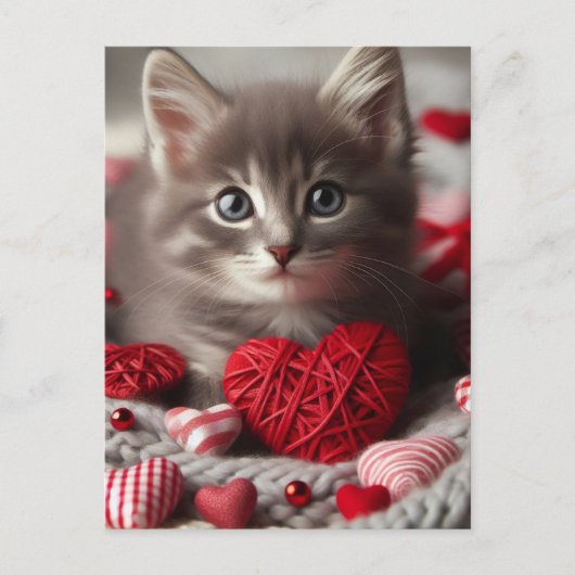Carte Postale Adorable Valentine Fluffy Grey Kitten avec Coeurs (Devant)