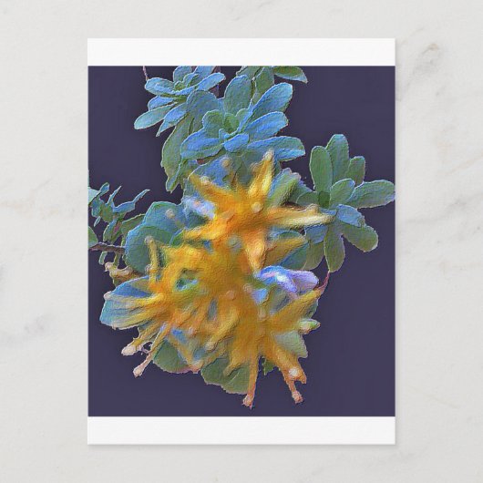 Carte Postale Aeonium en floraison (Devant)