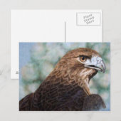 Carte Postale Aérographe à queue rouge (Devant / Derrière)