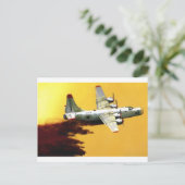 Carte Postale Aéronefs de pompier PBY (Debout devant)