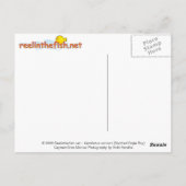 Carte Postale Aetobatus narinari (Aigle rayé) (Dos)