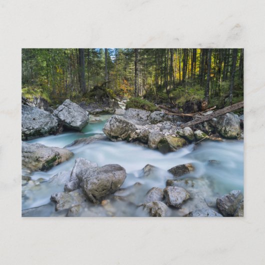 Carte Postale Affaire Torrent Ramsauer (Devant)