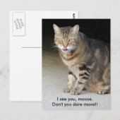 Carte postale affamée de chat (Devant / Derrière)