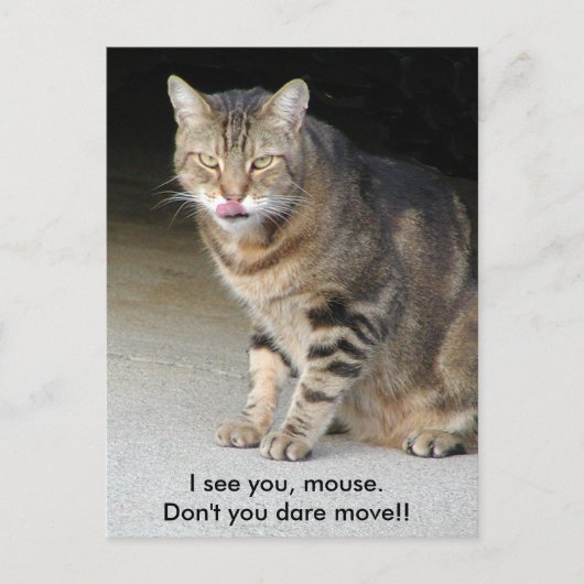 Carte postale affamée de chat (Devant)