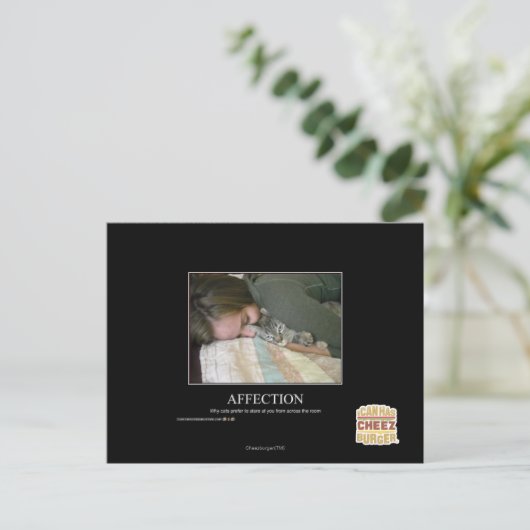 Carte Postale Affection (Debout devant)