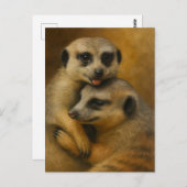 Carte Postale Affection de Meerkat (Devant / Derrière)