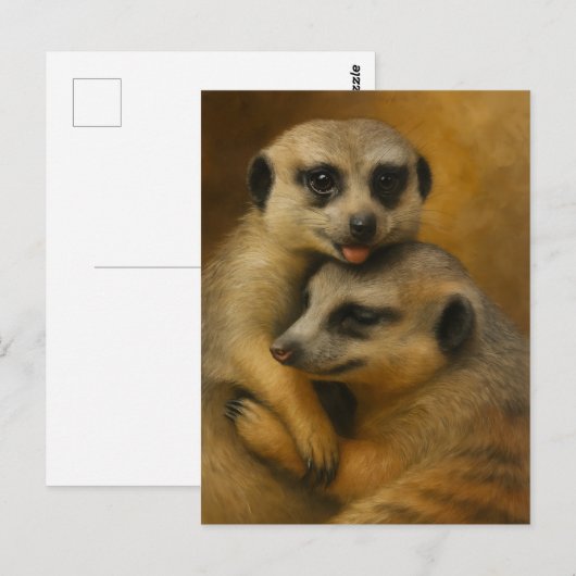 Carte Postale Affection de Meerkat (Devant / Derrière)
