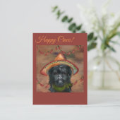 Carte Postale Affenpinscher (Debout devant)